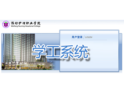 点击进入该系统