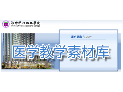 点击进入该系统